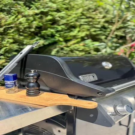 Luxury In Les Pins 公寓 胡安莱潘